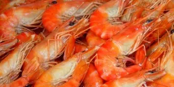 Defrost the shrimp, wash them well and peel them.
