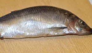 First we clean the herring, pick out all the bones.