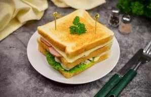 Thats it, the sandwich is ready.