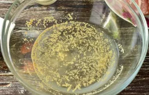 Pour warm water into the bowl, add salt and sugar.