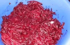 Then grate the beets.