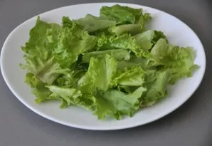 Tear the lettuce leaves with your hands into a flat container.