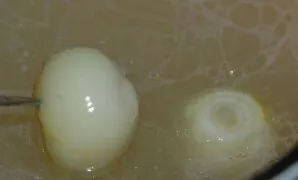 Approximately halfway through the cooking of the broth, add two whole onions to it.