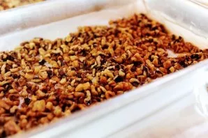 We put a layer of cinnamon-toasted walnuts on top of the dough.