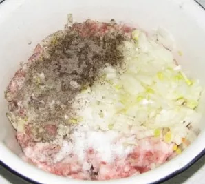 Add salt, pepper and chopped onion to the mince.