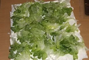 Scatter lettuce leaves.