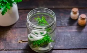 Put dill and onion ring in a jar.