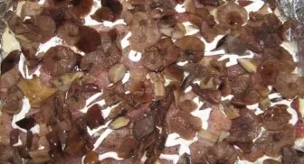 Wash the mushrooms and cut into thin slices. Put them on top of the meat.