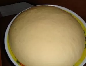 Grease the kneaded dough with vegetable oil and put it in a warm place to rise.