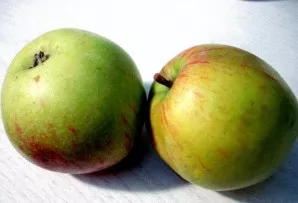 Wash two large apples.