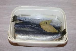 Put the herring in the marinade and refrigerate.