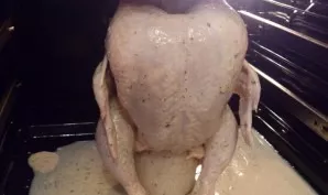 We put the chicken on a jar, put the whole structure on a baking sheet, pour the mayonnaise mixture on top. Bake until fully cooked at a ...