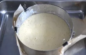 Prepare a 22-23 cm diameter baking dish, grease with butter, sprinkle with flour, shake off excess flour. Pour the dough into the mold, h...