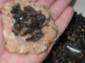 Put the mushroom filling in the center.