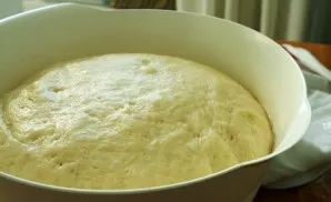 We put it in a large form greased with vegetable oil. We cover it with a film or a towel, put it in a warm place and leave it for an hour...