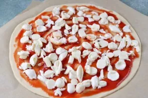Cover the layer of tomato sauce generously with chopped mozzarella.