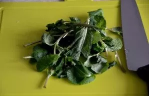 Rinse and dry fresh mint.